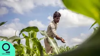 Big Tech Wants in on India Farming