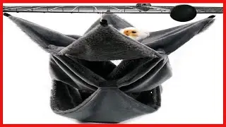 LeerKing Guinea Pig Hammock, Rat Ferret Hammock for Cage 3 Tier Hanging Rat Ferret Bed Warm Plush