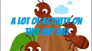 Active little ant hill w/ background music