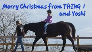 THING 1 rode her HEART HORSE, Yoshi, on Christmas eve! 