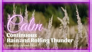 Calm Continuous Rain with Rolling Thunder | Open Field Ambience | SERENE SOUNDS FOR SLEEP | 2hrs