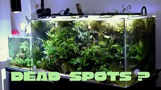 Dead Spots , Circulations in Aquascape  &  CO2 Distributions