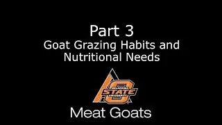 Goat Grazing Habits and Nutritional Needs