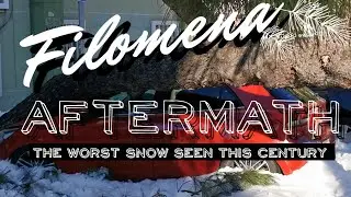 FILOMENA AFTERMATH | The Worst Snow Seen This Century
