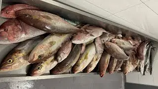 Viajo a Canarias y me enrolo en un barco profesional… Rayco Garcia Habas una leyenda del sector