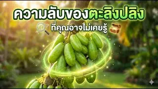 ตะลิงปลิง: ยาดีหรือยาพิษ? สรุปครบจบใน 10 นาที [กินเป็น อยู่เป็น: EP7]