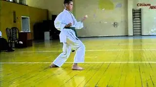Heian nidan by Sergiu Taranu