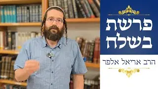למה ה’ אמר למשה להפסיק להתפלל? | פרשת השבוע בשלח (שירה)