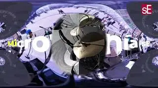 sE Electronics con Austin TV