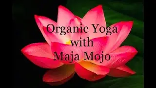 Organic Yoga for Everyone
