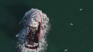 Cleaning Our Oceans with Western Development Corridor - Blue Circular Economy | One Productions
