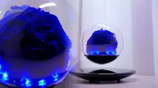 Futuristic Levitating Eternal Blue Rose &ndash; Floating Light of Love