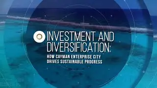 Investment and Diversification: How Cayman Enterprise City Drives Sustainable Progress