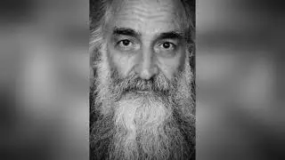 Warren Ellis' Unlikely Partnership: Musician Turns Animal Rights Activist
