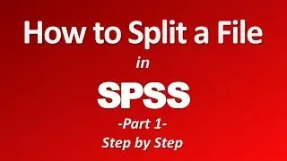 How to Split a File in SPSS (Part 1)