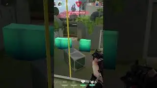 Reaver vandal is OP 🔥  #valorantclips #valorant #gaming #reavervandal