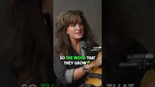100-Year-Old Violin From Germany!
