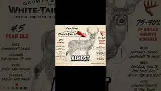 How to age deer on the hoof! #hunting #deerhunting #bowhunting