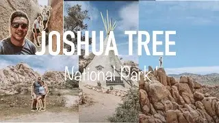JOSHUA TREE NATIONAL PARK  &  GARTH'S BOULDER GARDEN