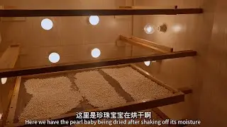 A Behind-the-Scenes Look: Pearl Processing at Margaret Jewelry
