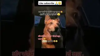 toppers adda 😂ab me kaya kru😂😂#shortsfeed #funny #shortvideo #viralshorts #ytshorts #shorts #viral #
