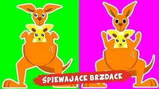 Śpiewające Brzdące - Kangurki - Piosenki dla dzieci 😁😂😜