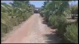 فيرما رائعه للبيع على كدرون فالبئر الجديد فيها 2 فيلات بتمن جد مناسب لتواصل 0663534326