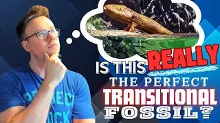 Is THIS Famous Fossil REALLY The PERFECT Transitional Form?