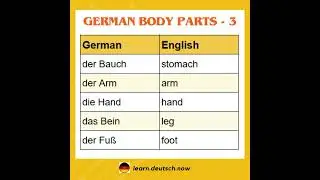 Learn Body Parts in German with English... Part-3