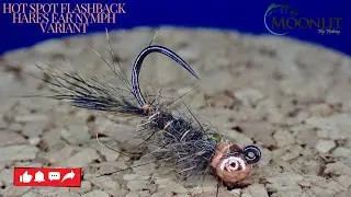Hot Spot Flashback Hares Ear Nymph Variant