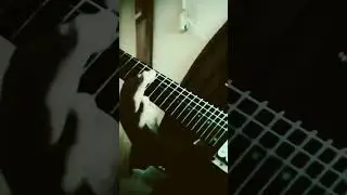 🎻🎸