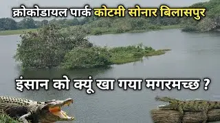 इंसान को क्यूं माR कर खा गया मगरमच्छ । क्रोकोडायल पार्क कोटमी सोनार बिलासपुर Kotmi sonar bilaspur