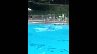 Griffin D diving clinic