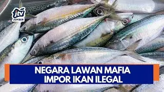 [LIVE] NEGARA LAWAN MAFIA IMPOR IKAN ILEGAL