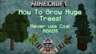 Minecraft Tips and Tricks: How to grow big trees / Never use coal again!