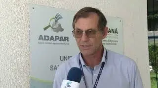 ADAPAR p&uacute;blica portaria que amplia plantio da soja