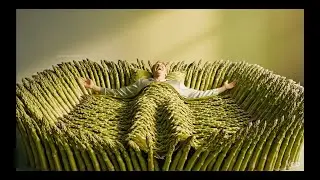 Which Vegetable Bed Would You Choose? Oddly Satisfying AI ASMR Compilation
