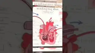 District level science fair Anand