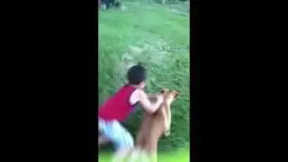 Little boy riding dog FAIL