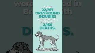 A Cruel History of Animal Suffering in Sports (Part II)