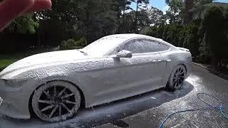 SUPER WASH A Mustang GT  | Auto Fanatic