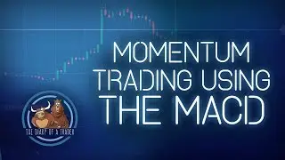 MACD & Momentum trading Strategies  | The Diary of a Trader