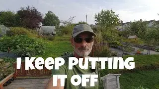 I put it off as long as I can | Allotments For Fun and Food