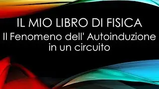 Il Fenomeno dell' Autoinduzione in un circuito