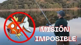 Un día completo en el Embalse del Pintado: comida, café y pesca sin suerte 🎣