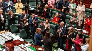 Labor under fire over council monitoring