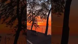 _Saiyaara_❤️🥀🎀#viralreels #ytshorts #love #saiyaara #hindisong #lyricvideo #shadowqueen #subscribe