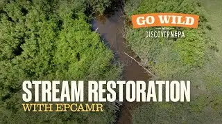 GO WILD with DiscoverNEPA: Stream Restoration with EPCAMR | Shickshinny, PA
