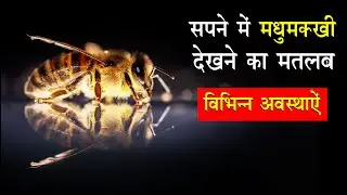 sapne me madhumakhi dekhna | seeing bee in dreams | madhumakhi ka sapna dekhne ka matlab |