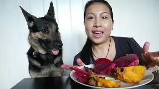 Cactus Fruits Taste Test 🌵 Dragon Fruits Vs. Prickly Pear!